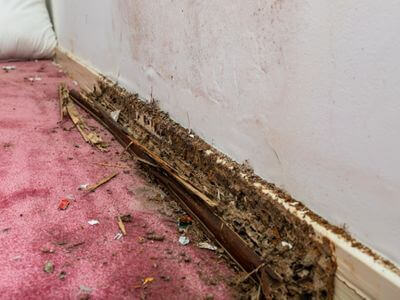About DryMendix - water damage restoration experts in San Diego